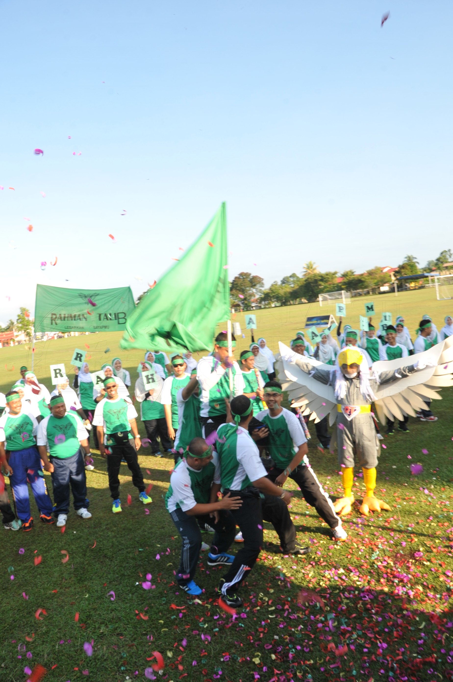 PRO 15 53 KIESTA HAS 3533